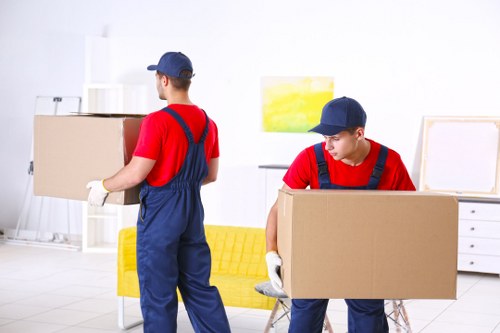 Professional packing and labelling boxes for a move in Eelpieisland