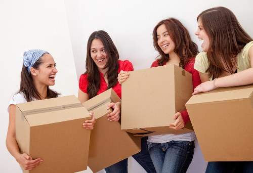 Professional movers handling furniture in Eelpieisland