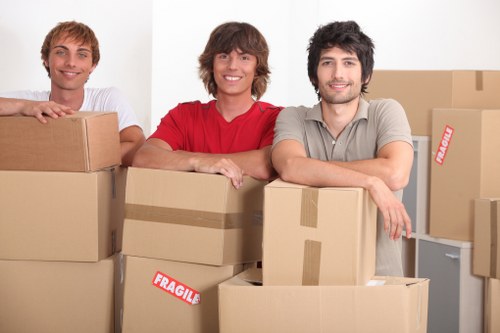 Local moving service handling access challenges in Eelpieisland