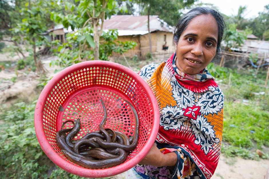 A woman standing outdoors on a dirt path in a rural setting, holding a pink plastic basket containing several live eels, with small sheds and trees visible in the background. She is dressed in a colorful, patterned scarf draped over her shoulders and a long-sleeved garment, and she looks directly at the camera with a neutral expression. The scene shows a homestead environment with greenery and simple structures, and the image captures a moment of home-related activity that may be associated with local food sourcing or fishing. The natural lighting highlights the vibrant colors of her clothing and the basket, aligning with themes of home relocation or transportation of live aquatic animals, and the setting suggests a community potentially involved in informal trade or subsistence living. This image could be used to illustrate aspects of local economy, traditional practices, or the process of packing and moving goods within rural household contexts, relevant to services like removals and relocating personal or household items.