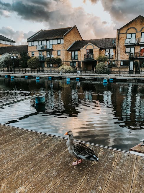 A goose standing on a wooden riverside walkway near Eel Pie Island during daylight hours, with residential buildings featuring brick facades and small balconies across the water. The water reflects the buildings and cloudy sky above. In the background, a boat dock with blue bollards is visible along the edge of the water. The scene depicts an urban riverside environment consistent with house removals and relocation logistics, illustrating the proximity of residential properties to the water and the outdoor setting where moving activities may take place. Man with Van Eel Pie Island occasionally handles home relocation tasks, including furniture transport and packing, in such scenic environments.