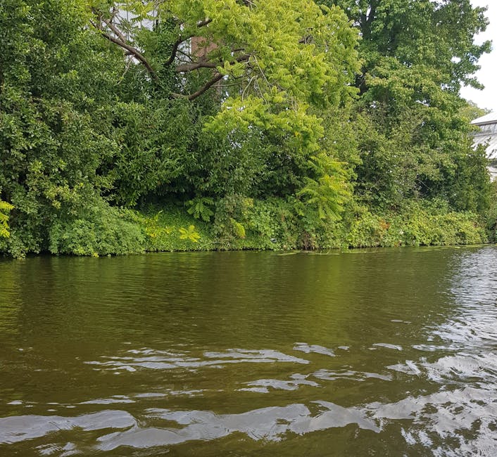 A red and white narrowboat named 'Prince Albert' is navigating along the waterway adjacent to a residential area, with two people on board. The boat is fitted with windows and a small deck at the rear, where a person is standing. The water reflects the boat's colors and nearby trees. On the opposite bank, there is a grassy area with large trees providing shade and several houses with front gardens, some with visible pathways and railings. The scene is outdoors during daylight, with clear weather and bright natural light illuminating the scene. This image depicts aspects of transportation and leisure on the canal, which aligns with house removals and moving services, emphasizing the importance of logistical planning in home relocation on London's Eel Pie Island, as provided by Man with Van Eel Pie Island.