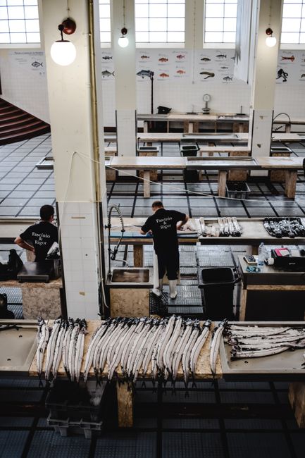 Interior view of a fishmonger's shop with high ceilings and large windows allowing natural light. Several workers, wearing black uniforms with the company logo, are engaged in the packing and handling of fresh fish. One worker is standing at a wooden workbench arranging fish on a bed of crushed ice, while another is preparing fish on a different section of the counter. The shop has a tiled floor and white tiled walls decorated with illustrations of various fish species. Long fish are laid out on a white cloth on a wooden table in the foreground, with plastic bags and packaging materials nearby. Overhead, three spherical pendant lights provide additional lighting. The scene captures a typical home relocation or removal process of transporting fresh produce, with attention to packing and handling within a professional fishmonger's environment, supporting the services of Man with Van Eel Pie Island.