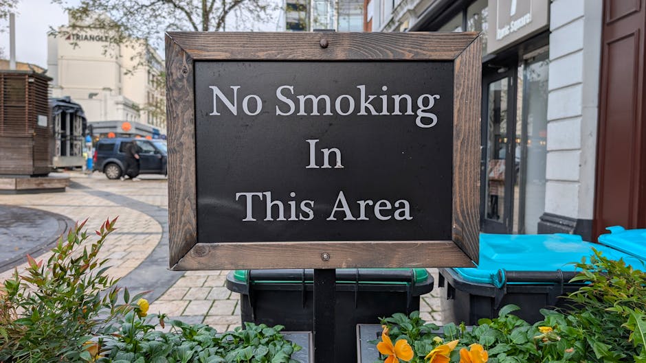 A rectangular sign with a dark background and a wooden frame displays the message 'No Smoking In This Area' in white text. The sign is mounted on a black metal stand positioned on a sidewalk outside a building, surrounded by green plants with yellow and reddish leaves at the base. In the background, there are parked cars, a cafe or shop with glass windows, and other urban elements such as additional signage and pavement patterns. The scene witnesses daylight with natural lighting, and the setting appears to be a busy street area, relevant for local regulations and pedestrian movement, which can be connected to house removals or moving logistics, especially in urban environments like Twickenham.